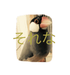 MTMR（個別スタンプ：4）