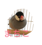 MTMR（個別スタンプ：5）