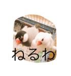 MTMR（個別スタンプ：6）