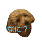 MTMR（個別スタンプ：7）