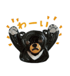 かみでつくった、どうぶつさん（個別スタンプ：19）