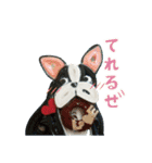 かみでつくった、どうぶつさん（個別スタンプ：20）
