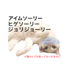 若干ウザい猫スタンプ（個別スタンプ：2）