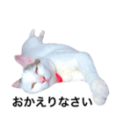 若干ウザい猫スタンプ（個別スタンプ：6）