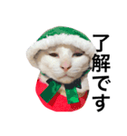 若干ウザい猫スタンプ（個別スタンプ：10）