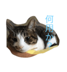 みるここ〜日常（個別スタンプ：1）