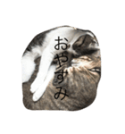 みるここ〜日常（個別スタンプ：8）