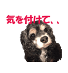 My lovely Lion Vol.2（個別スタンプ：5）