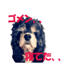 My lovely Lion Vol.2（個別スタンプ：8）