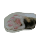 ゆずとまつり（個別スタンプ：2）