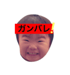 怪獣たち（個別スタンプ：6）