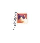 Cute kitty（個別スタンプ：1）