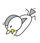 piyopiyo スタンプ（個別スタンプ：16）