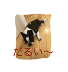 フレブルスタンプ❤️（個別スタンプ：7）