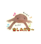 ウーパールーパーのしらたまとごま（個別スタンプ：9）