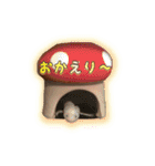 ウーパールーパーのしらたまとごま（個別スタンプ：25）
