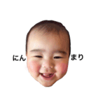 ニコニコすーちゃん（個別スタンプ：16）