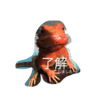 トカゲ家守魚（個別スタンプ：1）