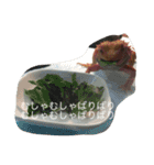 トカゲ家守魚（個別スタンプ：2）
