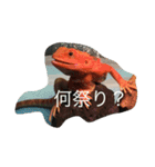 トカゲ家守魚（個別スタンプ：6）
