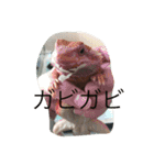 トカゲ家守魚（個別スタンプ：7）