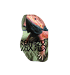 トカゲ家守魚（個別スタンプ：16）