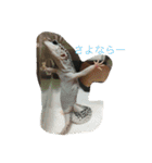 トカゲ家守魚（個別スタンプ：20）