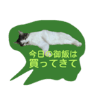 はなちゃん御飯たべた？（個別スタンプ：2）