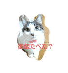 はなちゃん御飯たべた？（個別スタンプ：3）