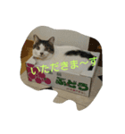 はなちゃん御飯たべた？（個別スタンプ：5）