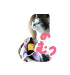 はなちゃん御飯たべた？（個別スタンプ：6）