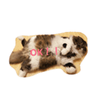 だいずスタンプ（個別スタンプ：5）