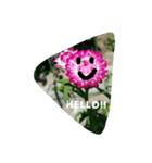 おばあちゃんのお花たち（個別スタンプ：7）