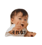 かほむしスタンプ（個別スタンプ：1）