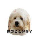 城ヶ島（個別スタンプ：2）