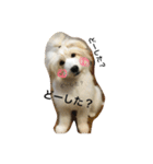 城ヶ島（個別スタンプ：4）