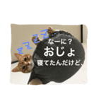城ヶ島（個別スタンプ：5）