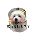 城ヶ島（個別スタンプ：7）