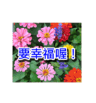 Flower Images_1（個別スタンプ：8）
