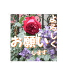 薔薇の花♡アソート4_挨拶メッセージ（個別スタンプ：2）