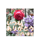 薔薇の花♡アソート4_挨拶メッセージ（個別スタンプ：3）