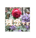 薔薇の花♡アソート4_挨拶メッセージ（個別スタンプ：6）