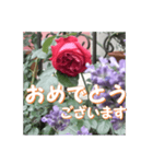 薔薇の花♡アソート4_挨拶メッセージ（個別スタンプ：8）