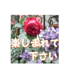 薔薇の花♡アソート4_挨拶メッセージ（個別スタンプ：11）
