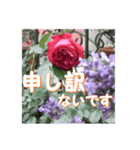 薔薇の花♡アソート4_挨拶メッセージ（個別スタンプ：13）
