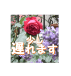 薔薇の花♡アソート4_挨拶メッセージ（個別スタンプ：14）