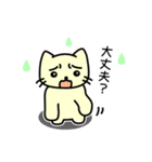 コアラとネコとネコ人間（個別スタンプ：20）