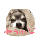 みみちゃん1（個別スタンプ：3）