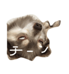 みみちゃん1（個別スタンプ：6）