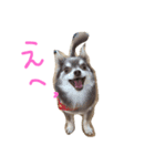 みみちゃん1（個別スタンプ：8）